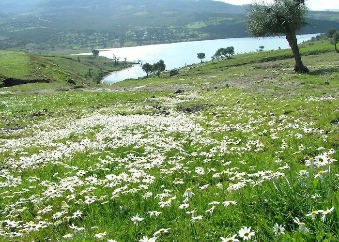 El Mouradi Hammam Bourguiba
