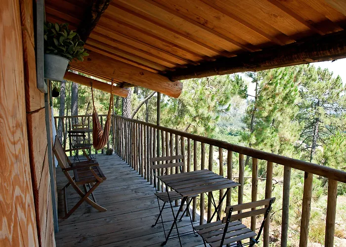 Auberge De La Tour De Brison