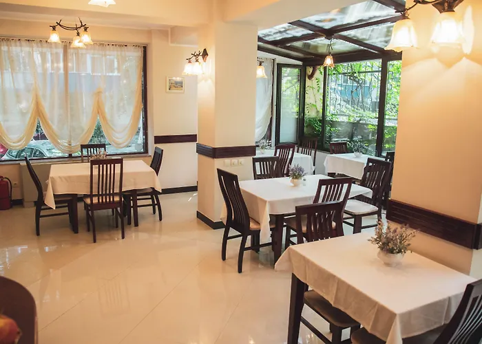Hotel Cantemir