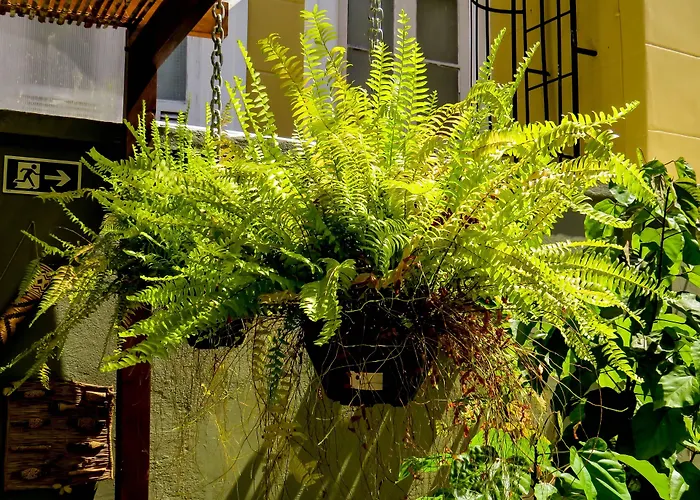Casa Perpetua Hotel D Charm