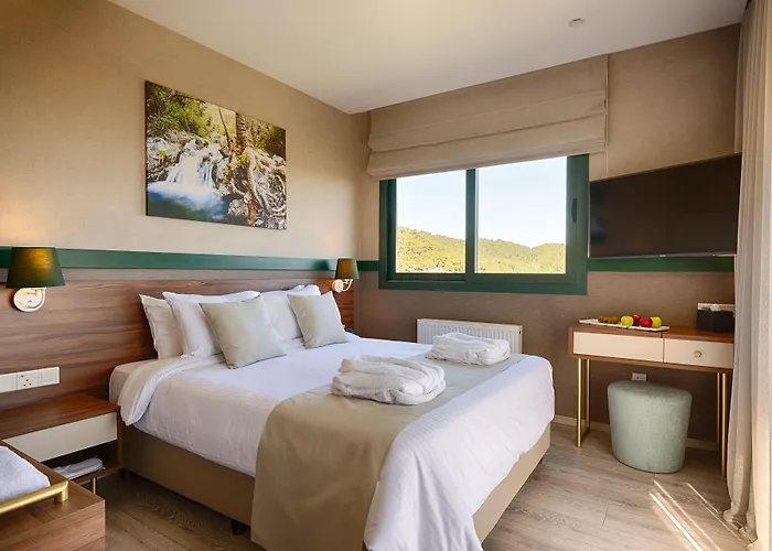Petit Palais Platres Boutique Hotel