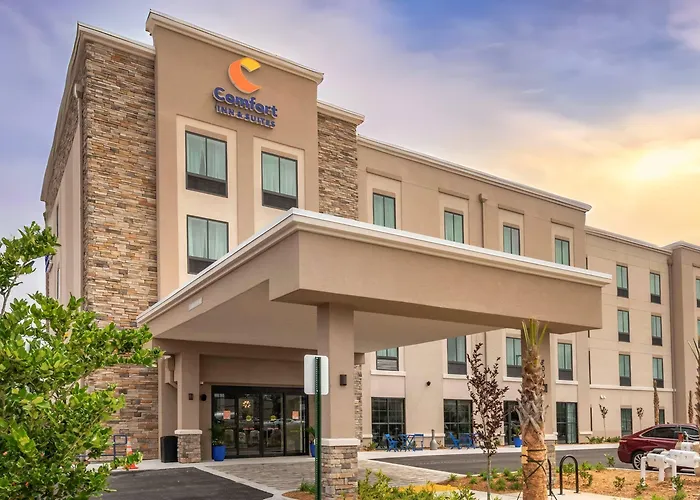 Comfort Inn&Suites Jacksonville - Orange Park Near Naval Air Station