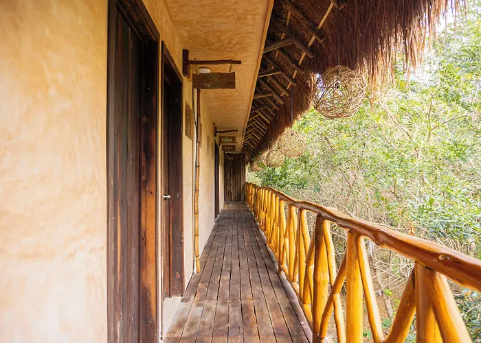 Mayan Monkey Isla Mujeres - Social Hotel (Adults Only)