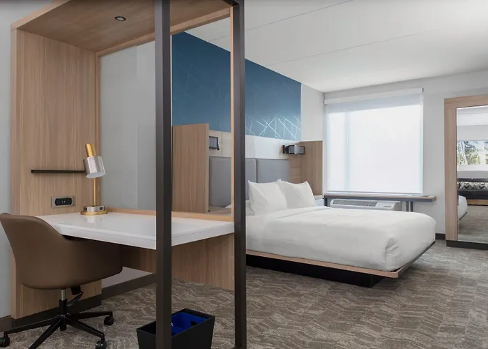 Springhill Suites By Marriott Durham City View