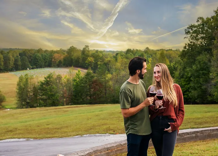 Dahlonega Resort And Vineyard