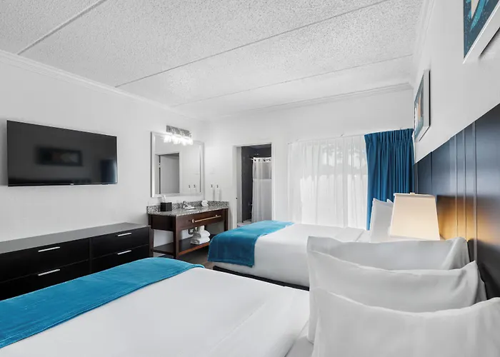 Oasis Bay Suites, Tampa, Busch Gardens, Usf