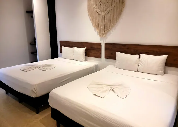 Live Coco Suites - Hotel Boutique & Rooftop