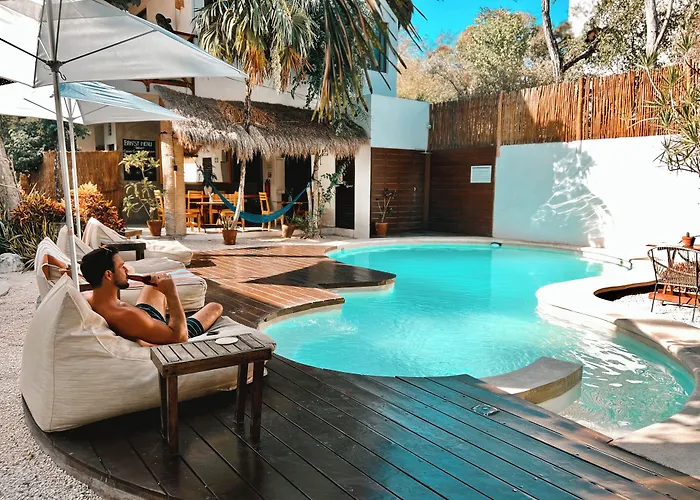 Mimosa Tulum