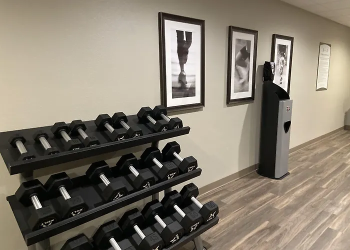 Staybridge Suites - Denton By Ihg