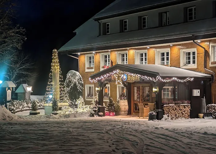 Hotel Schiff Am Schluchsee