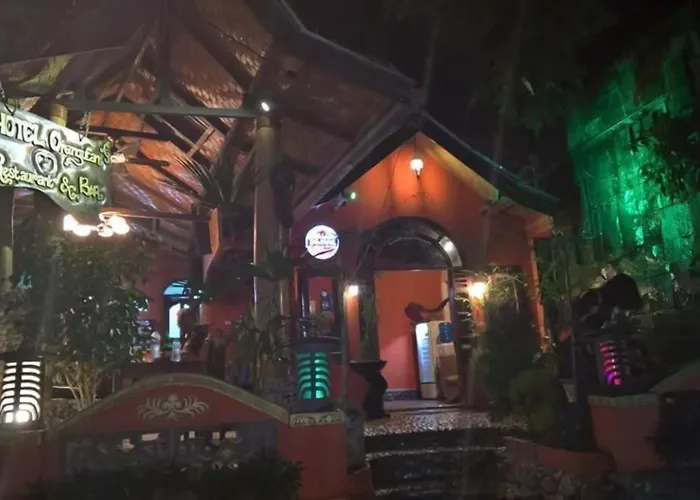 Hotel Orangutan