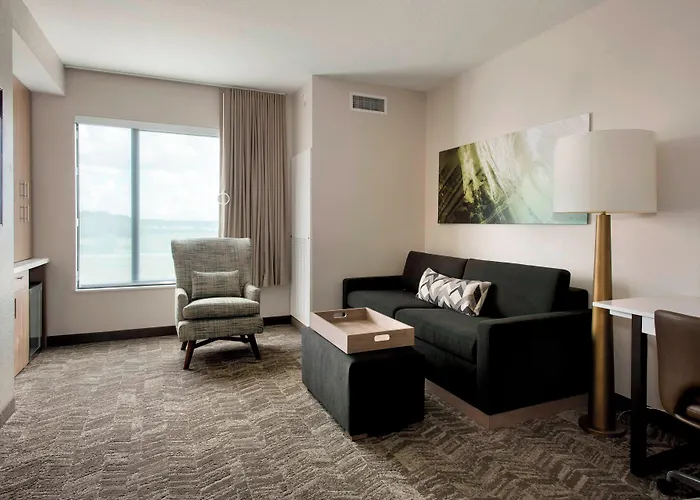 Springhill Suites By Marriott Tampa Suncoast Parkway