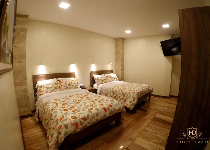Hotel David