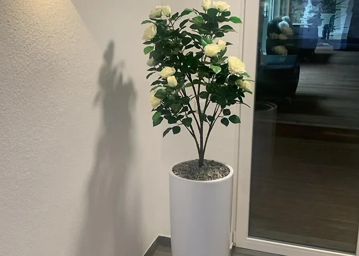 Hotel Am Schlossplatz