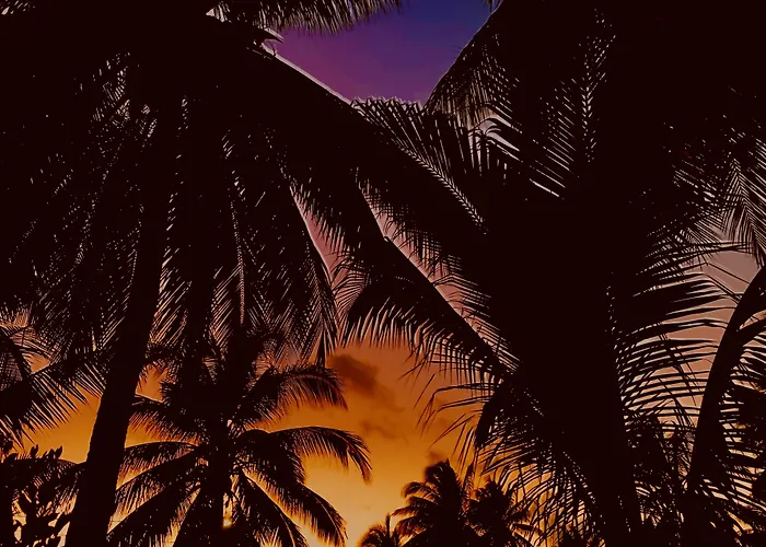 Dreamcabanas