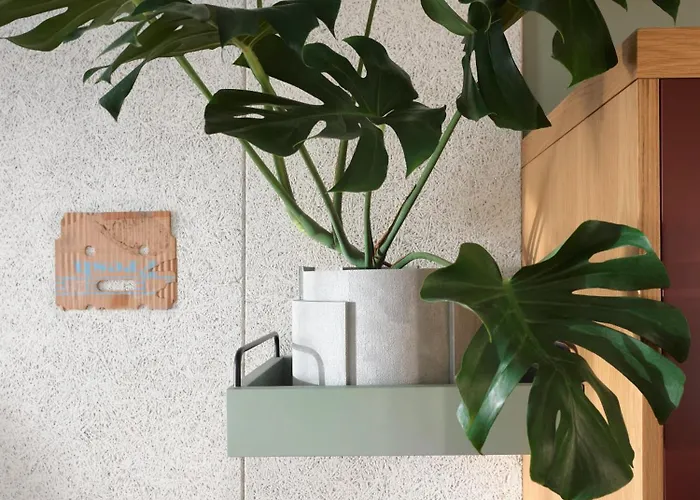 Ace Hotel Sydney