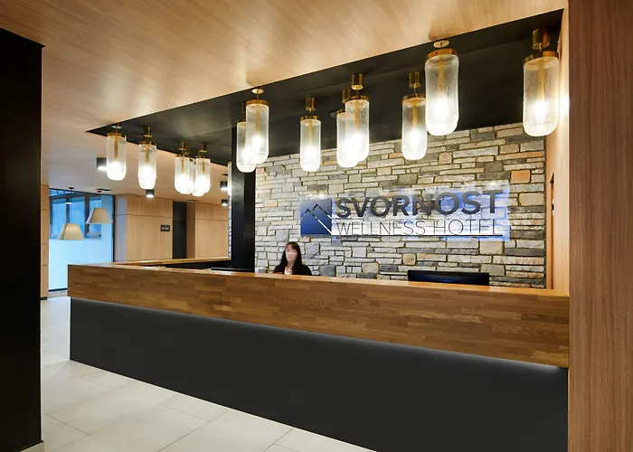 Wellness Hotel Svornost