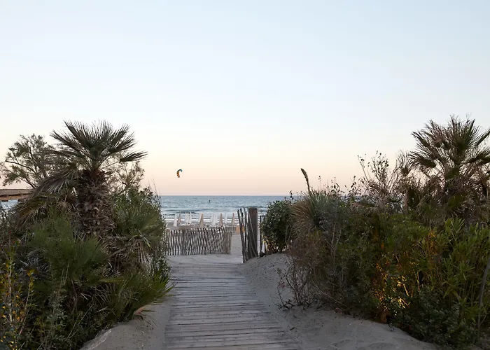 Hôtel Plage Palace&Spa