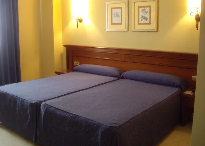 Hotel Manolo Mayo