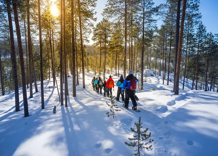 Wilderness Hotel Inari & Igloos