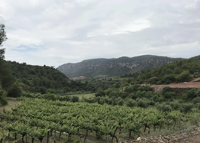 Terra Dominicata - Hotel & Winery - Adults Only
