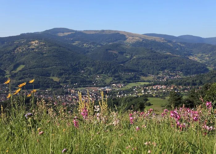 Logis Hotel Restaurant Panorama