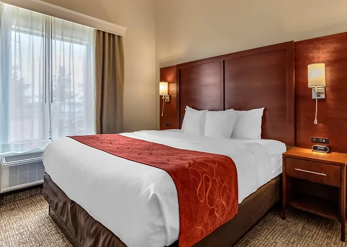 Comfort Suites Kyle