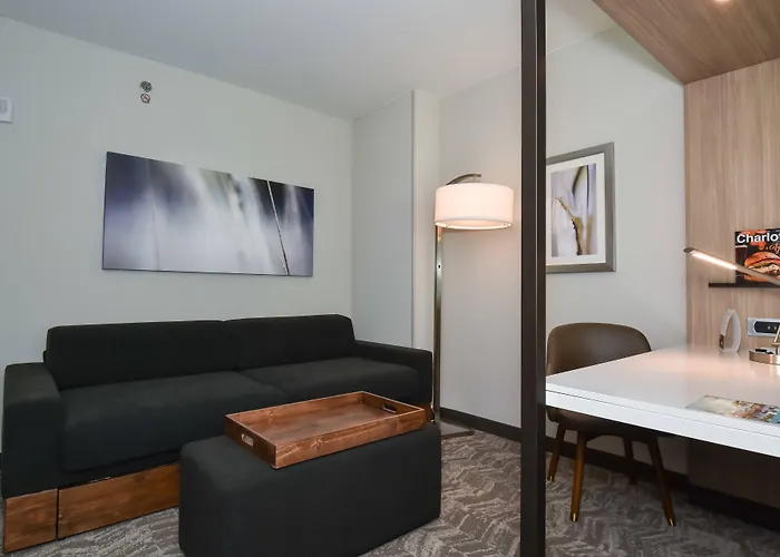Springhill Suites By Marriott Charlotte City Center