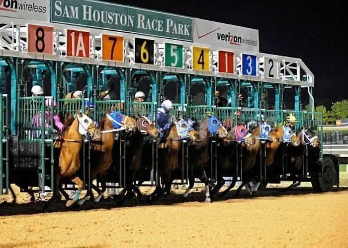 Comfort Suites Near Sam Houston Race Park