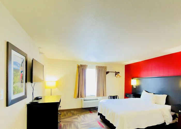 Black Gold Suites