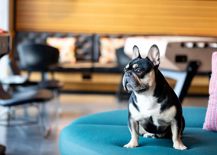 Moxy Aberdeen Airport
