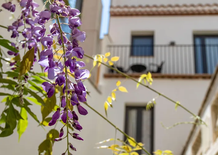 Sa Voga Hotel & Spa