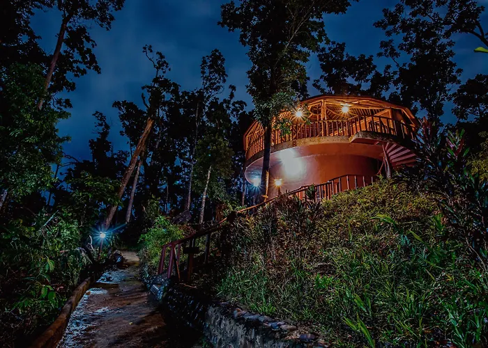 Atremaru Jungle Retreat