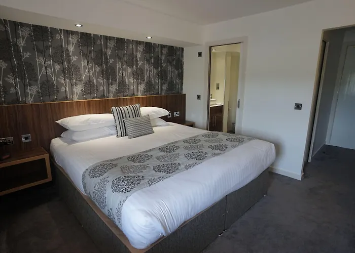 Damon'S Hotel