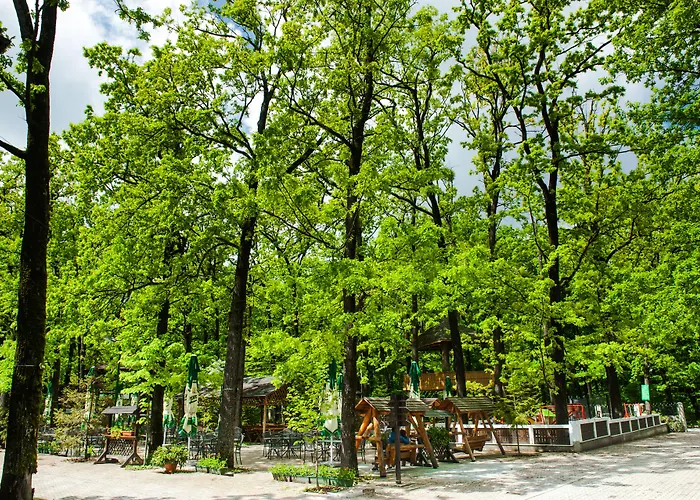 Hotel Cornul Vanatorului
