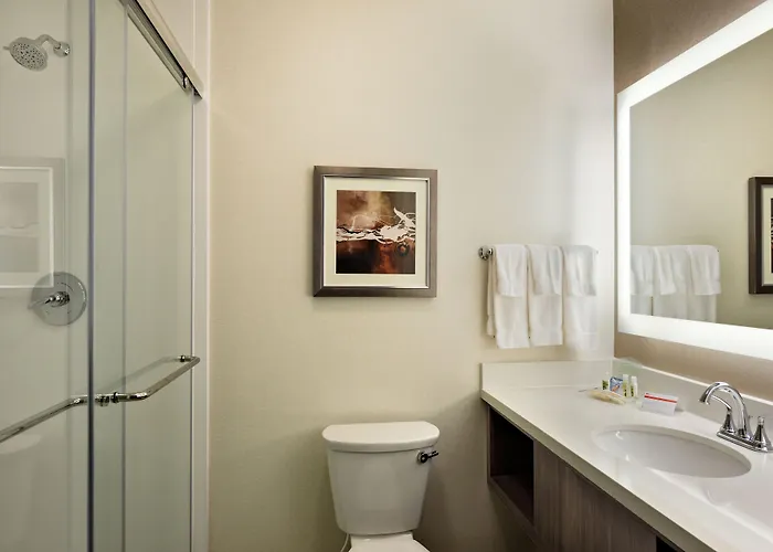 Holiday Inn St. George Convention Center By Ihg