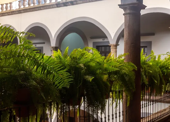 Hotel Hidalgo