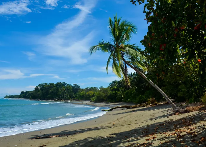 Blue Osa Beach Resort & Spa