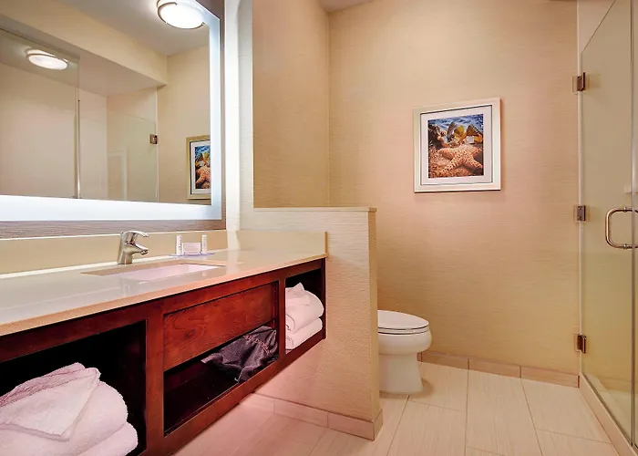 Fairfield Inn & Suites By Marriott San Diego Carlsbad