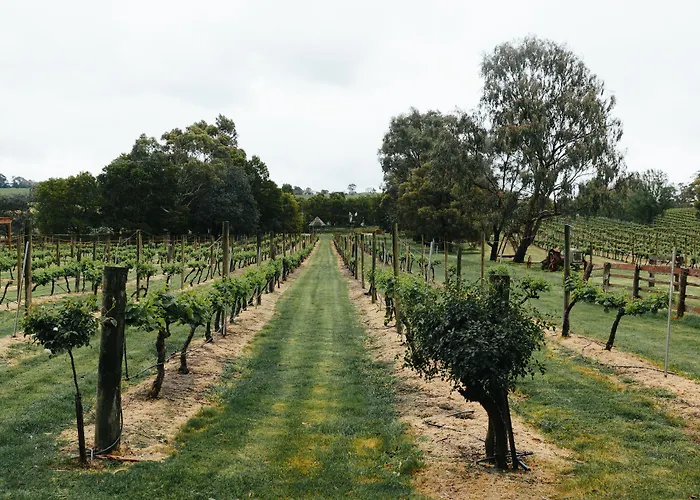 Glen Erin At Lancefield