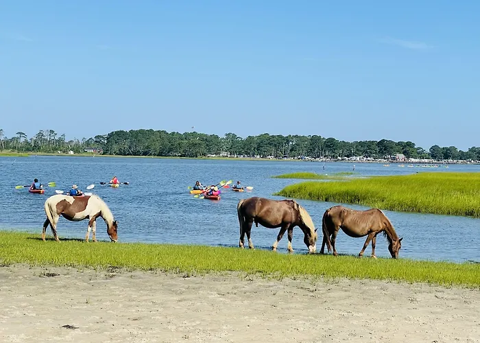 Snug Harbor Marina And Resort