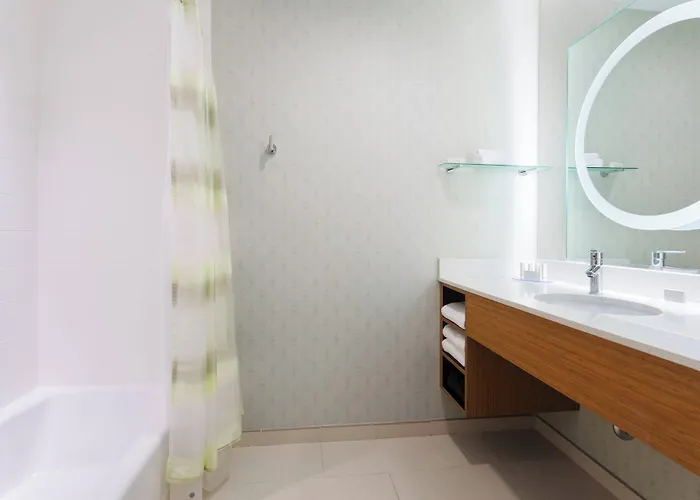 Springhill Suites By Marriott Midland Odessa