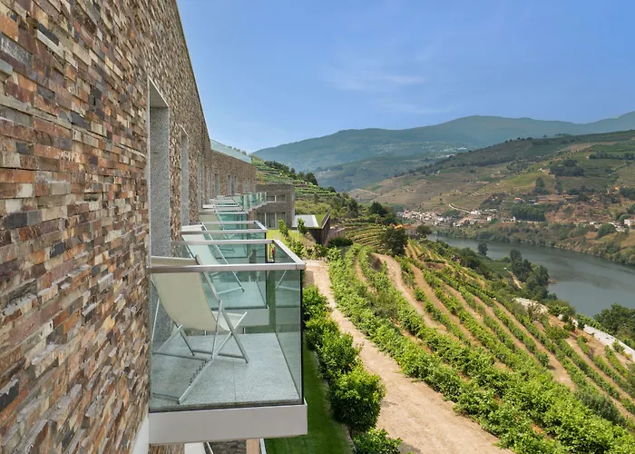 Delfim Douro Hotel