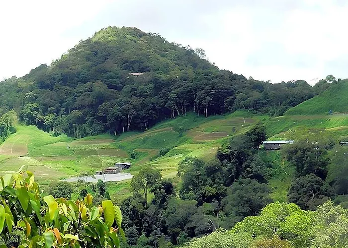Nikgold Garden Resort Kundasang