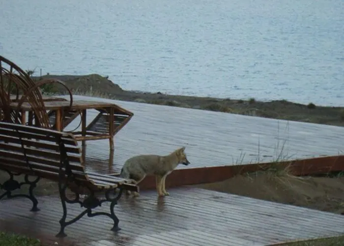 Hotel Las Dunas