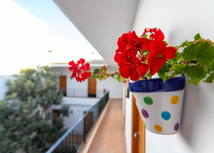 Hotel Oasis Atalaya