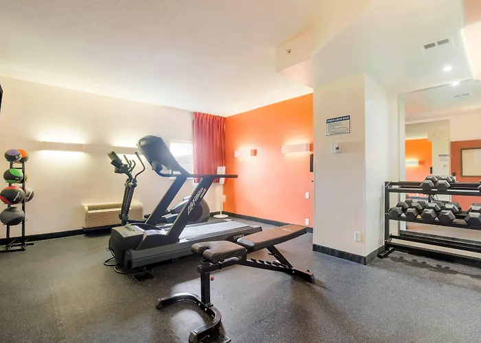 Motel 6-Kingston, On