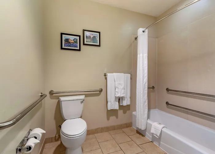 Comfort Suites Buda - Austin South