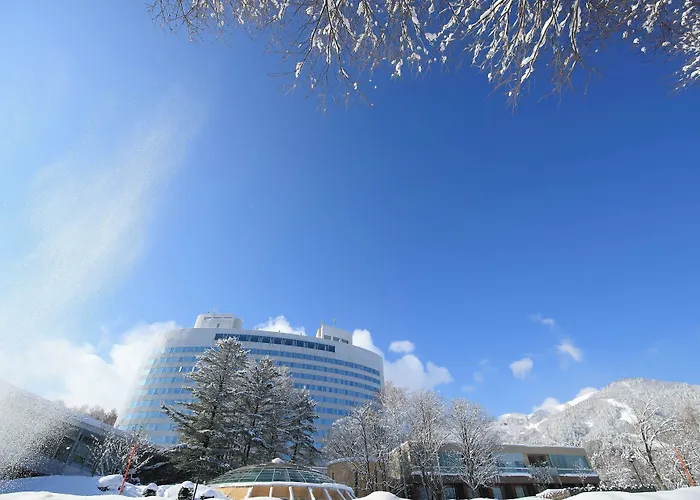 Shin Furano Prince Hotel