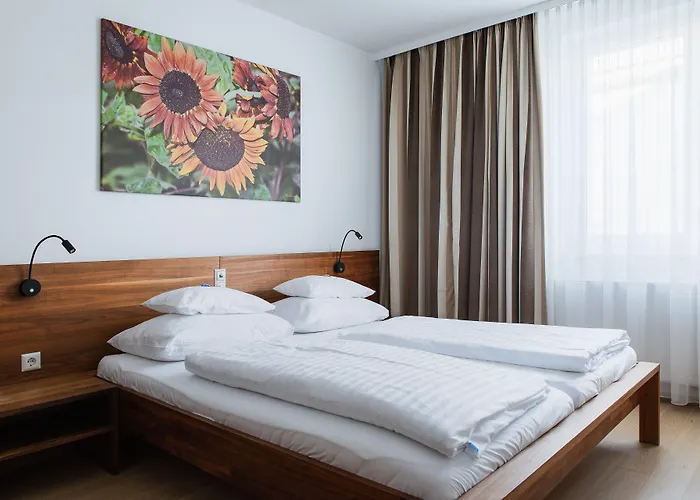 H+ Hotel Ried